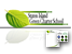 Corporate Branding - Staten Island Green Charter School